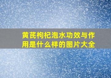 黄芪枸杞泡水功效与作用是什么样的图片大全