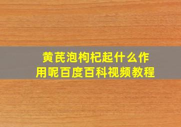 黄芪泡枸杞起什么作用呢百度百科视频教程