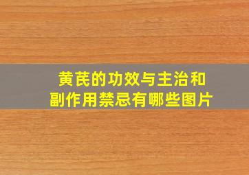 黄芪的功效与主治和副作用禁忌有哪些图片