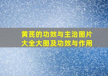 黄芪的功效与主治图片大全大图及功效与作用