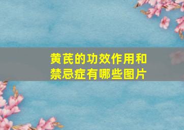 黄芪的功效作用和禁忌症有哪些图片