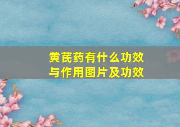 黄芪药有什么功效与作用图片及功效