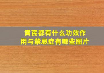 黄芪都有什么功效作用与禁忌症有哪些图片