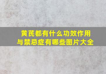 黄芪都有什么功效作用与禁忌症有哪些图片大全