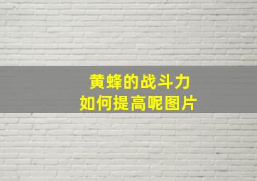 黄蜂的战斗力如何提高呢图片