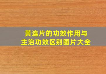 黄连片的功效作用与主治功效区别图片大全