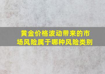 黄金价格波动带来的市场风险属于哪种风险类别