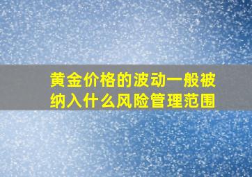 黄金价格的波动一般被纳入什么风险管理范围