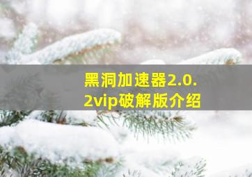 黑洞加速器2.0.2vip破解版介绍