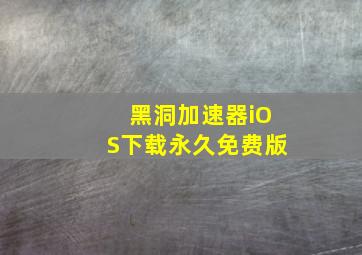 黑洞加速器iOS下载永久免费版