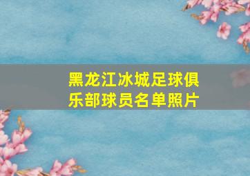 黑龙江冰城足球俱乐部球员名单照片