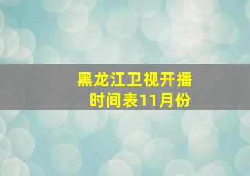 黑龙江卫视开播时间表11月份