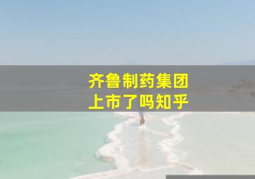 齐鲁制药集团上市了吗知乎