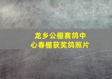 龙乡公棚赛鸽中心春棚获奖鸽照片