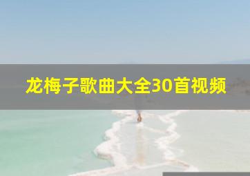 龙梅子歌曲大全30首视频