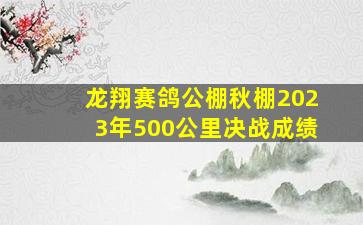 龙翔赛鸽公棚秋棚2023年500公里决战成绩